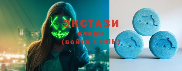 дживик Надым