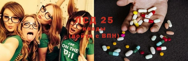 дживик Надым