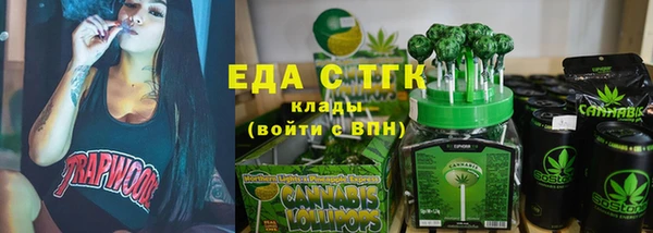дживик Надым