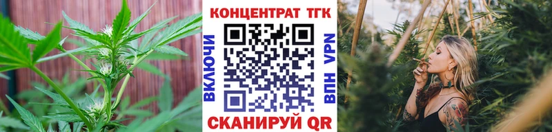 это какой сайт Вологда ТГК вейп с тгк блэк спрут как зайти