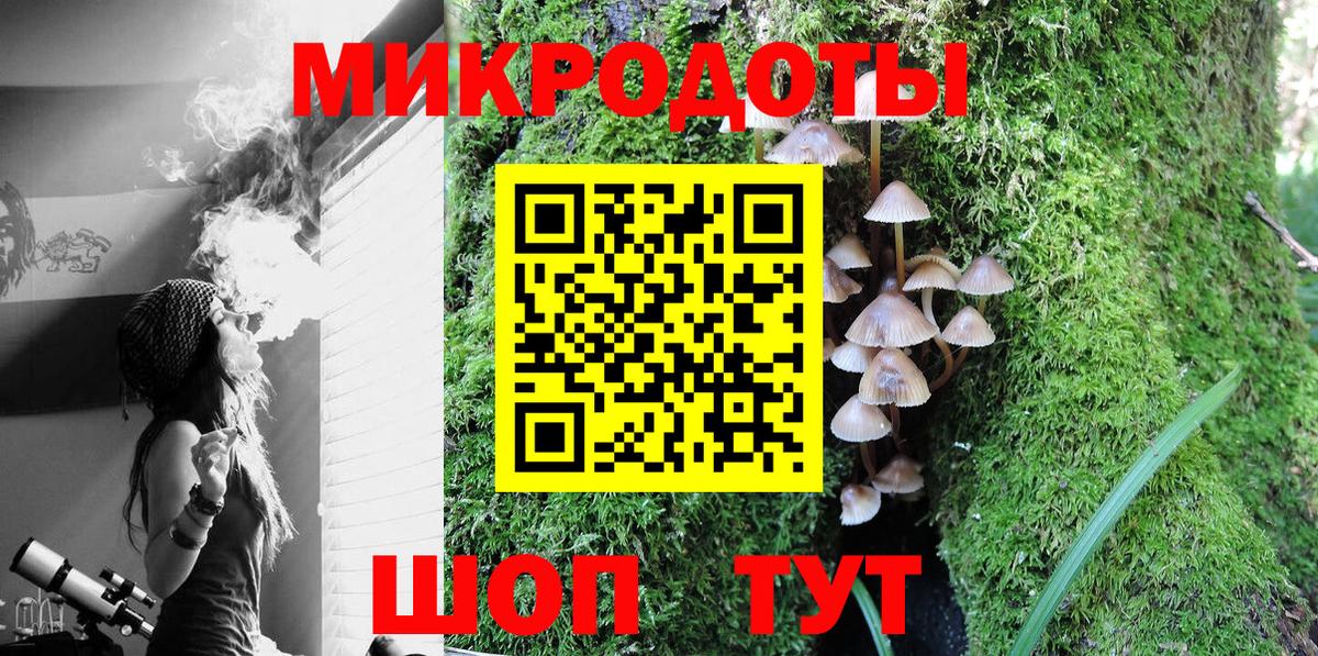 Галлюциногенные грибы прущие грибы Вологда