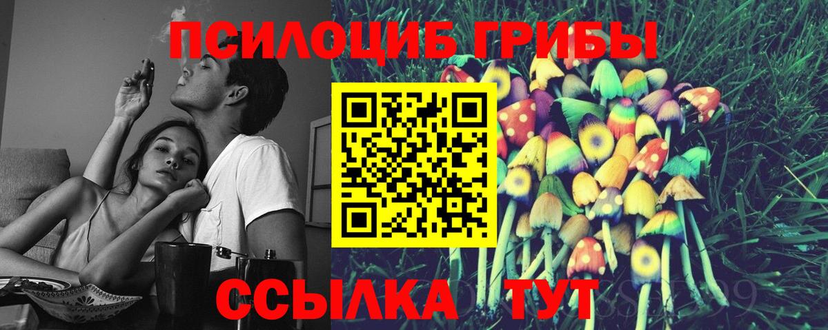 Псилоцибиновые грибы Magic Shrooms  Вход с VPN  Вологда 